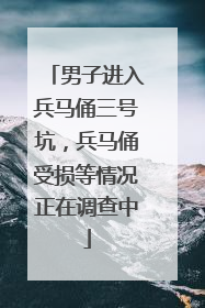男子进入兵马俑三号坑，兵马俑受损等情况正在调查中