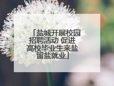 盐城开展校园招聘活动 促进高校毕业生来盐留盐就业