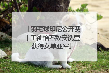 羽毛球印尼公开赛｜王祉怡不敌安洗莹 获得女单亚军