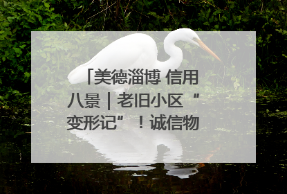 美德淄博 信用八景｜老旧小区“变形记”！诚信物业焐热居民心窝