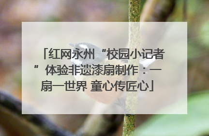 红网永州“校园小记者”体验非遗漆扇制作：一扇一世界 童心传匠心