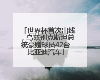 世界杯首次出线，乌兹别克斯坦总统豪赠球员42台比亚迪汽车