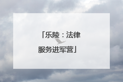 乐陵：法律服务进军营