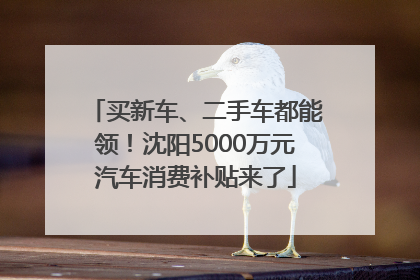 买新车、二手车都能领！沈阳5000万元汽车消费补贴来了