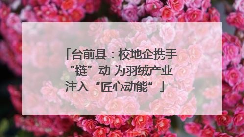 台前县：校地企携手“链”动 为羽绒产业注入“匠心动能”