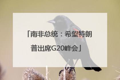 南非总统：希望特朗普出席G20峰会