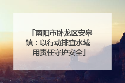 南阳市卧龙区安皋镇：以行动排查水域 用责任守护安全