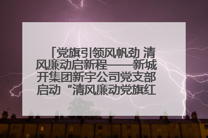 党旗引领风帆劲 清风廉动启新程——新城开集团新宇公司党支部启动“清风廉动党旗红”系列活动