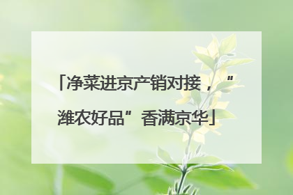 净菜进京产销对接，“潍农好品”香满京华