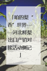 咱的梨“香”世界——河北鲜梨出口产销对接活动侧记