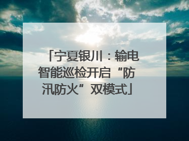 宁夏银川：输电智能巡检开启“防汛防火”双模式