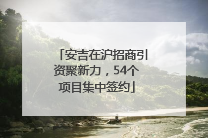 安吉在沪招商引资聚新力，54个项目集中签约