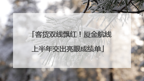 客货双线飘红！厦金航线上半年交出亮眼成绩单