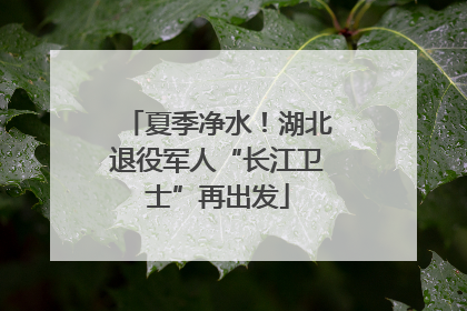 夏季净水！湖北退役军人“长江卫士”再出发