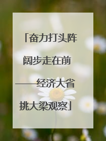 奋力打头阵 阔步走在前——经济大省挑大梁观察