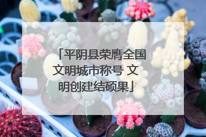 平阴县荣膺全国文明城市称号 文明创建结硕果