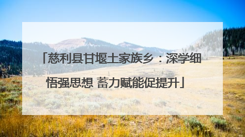 慈利县甘堰土家族乡：深学细悟强思想 蓄力赋能促提升