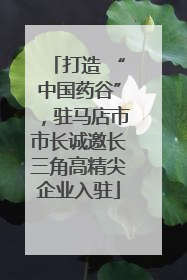 打造 “中国药谷”，驻马店市市长诚邀长三角高精尖企业入驻
