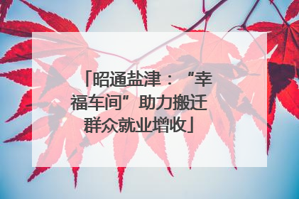 昭通盐津：“幸福车间”助力搬迁群众就业增收