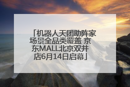 机器人天团助阵家场景全品类覆盖 京东MALL北京双井店6月14日启幕
