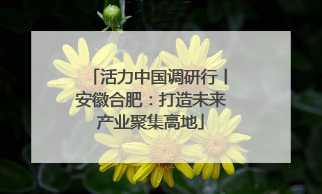 活力中国调研行丨安徽合肥：打造未来产业聚集高地