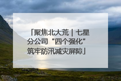 聚焦北大荒｜七星分公司“四个强化”筑牢防汛减灾屏障
