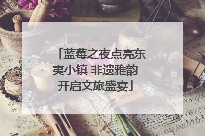 蓝莓之夜点亮东夷小镇 非遗雅韵开启文旅盛宴