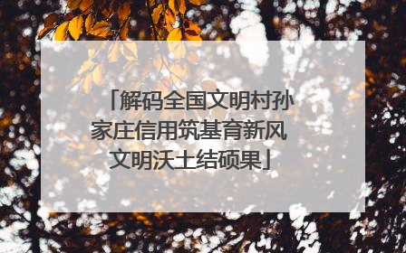 解码全国文明村孙家庄信用筑基育新风文明沃土结硕果