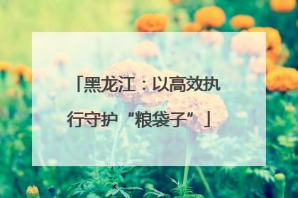 黑龙江：以高效执行守护“粮袋子”