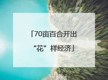 70亩百合开出“花”样经济
